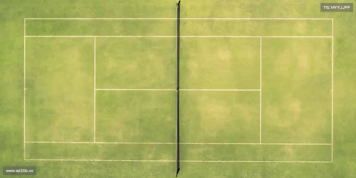 我们的核心竞争力